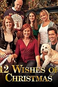 watch-12 Wishes of Christmas (2011)