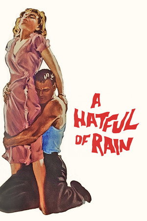 watch-A Hatful of Rain (1957)