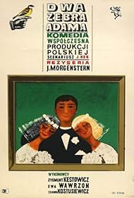 watch-Adam's Two Ribs (1964)