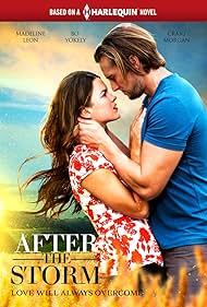 watch-After the Storm (2019)