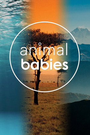 watch-Animal Babies (TV Mini Series 2016) 2016