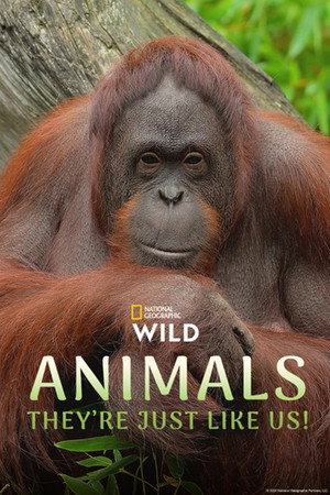 watch-Animals, They're Just Like Us! (2025)