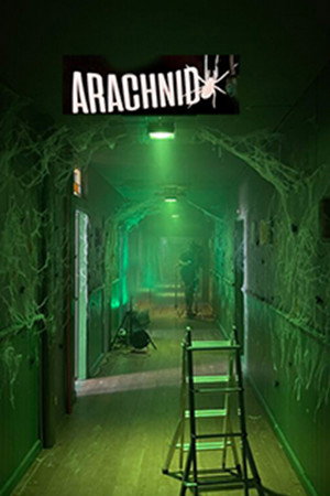 watch-Arachnid