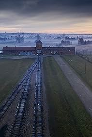 watch-Auschwitz: Countdown to Liberation (2025)
