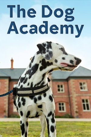 watch-Bad Dog Academy (2023)