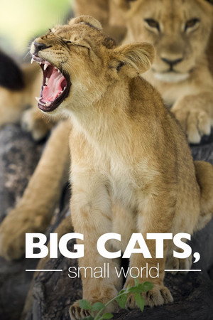 watch-Big Cats, Small World (TV Series 2024) 2024