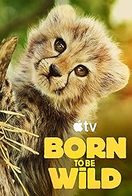watch-Born to be Wild (2025) 2025