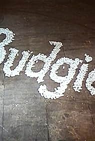 watch-Budgie (1971)
