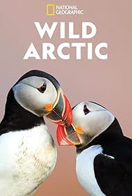 watch-Destination Wild: Wild Arctic (TV Mini Series 2019) 2018