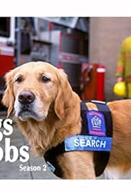 watch-Dogs with Jobs (2000)