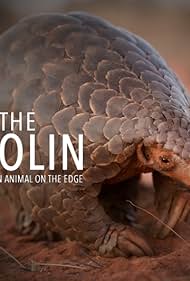 watch-Eye of the Pangolin (2019)
