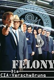 watch-Felony (1994)