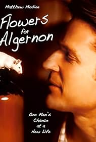 watch-Flowers for Algernon (2000)