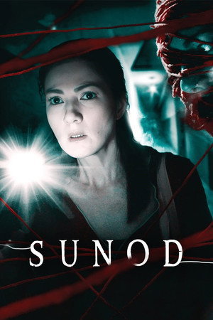 watch-Follow (2019)