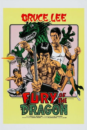 watch-Fury of the Dragon (1976)