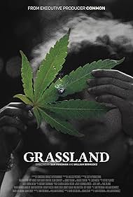 watch-Grassland (2024)