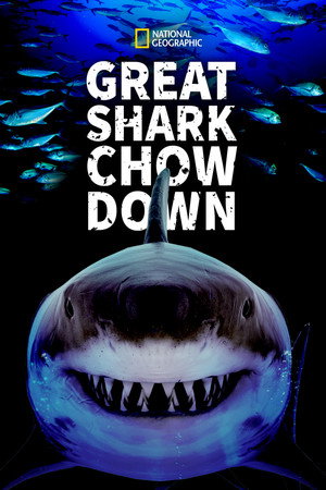 watch-Great Shark Chow Down (2019)