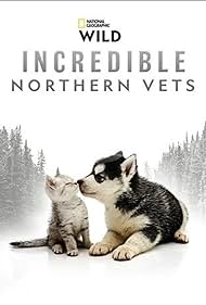 watch-Incredible Northern Vets (2025)