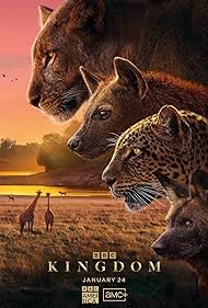watch-Kingdom (2025) 2025