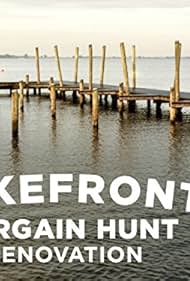 watch-Lakefront Bargain Hunt Renovation (2017)