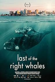 watch-Last of the Right Whales (2021)