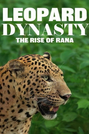 watch-Leopard Dynasty – The Rise of Rana (2025)