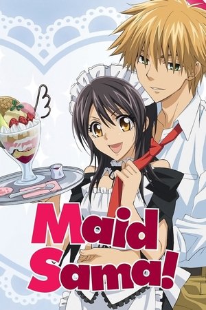 watch-Maid Sama! (2010)