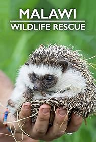 watch-Malawi Wildlife Rescue (2019)