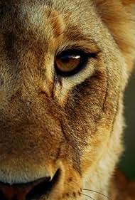 watch-Malika the Lion Queen (2021)