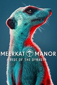 watch-Meerkat Manor: Rise of the Dynasty (2021)