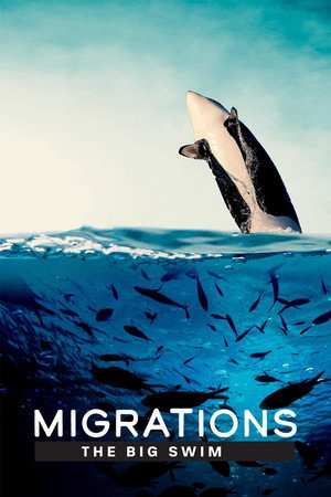 watch-Migrations: The Big Swim (2020)