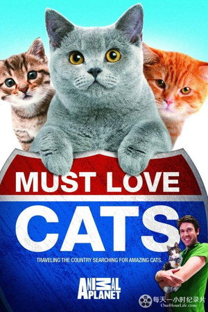 watch-Must Love Cats (2011)