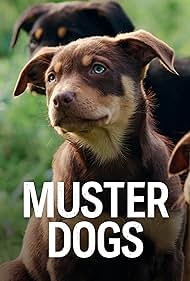 watch-Muster Dogs (2022)