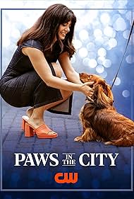 watch-Paws in the City (2025)