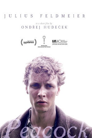 watch-Peacock (2015)