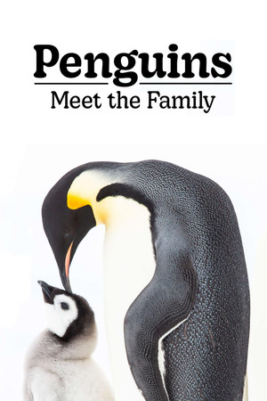 watch-Penguins: Meet the Family (2020)