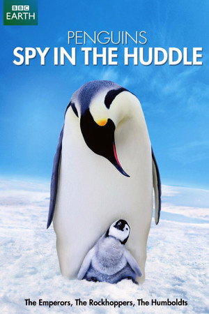 watch-Penguins - Spy in the Huddle (2013)
