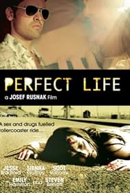 watch-Perfect Life (2010)