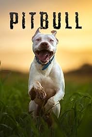 watch-Pitbull (2018)