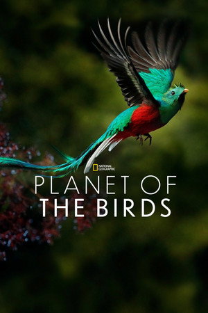 watch-Planet of the Birds (2018)