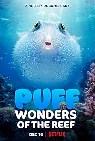 watch-Puff: Wonders of the Reef (2021)