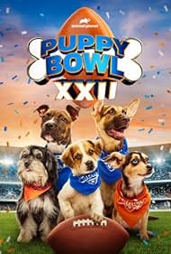 watch-Puppy Bowl XXII (2026)