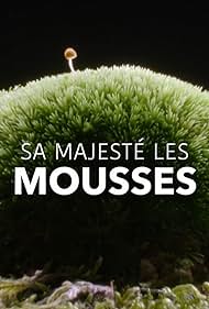 watch-Sa MajestÃ© les mousses (2023)