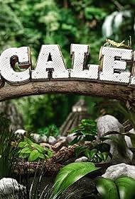 watch-Scaled (2018)