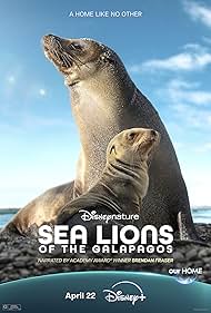 watch-Sea Lions of the Galapagos (2025)