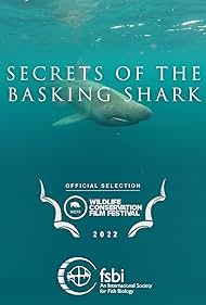 watch-Secrets of the Basking Shark