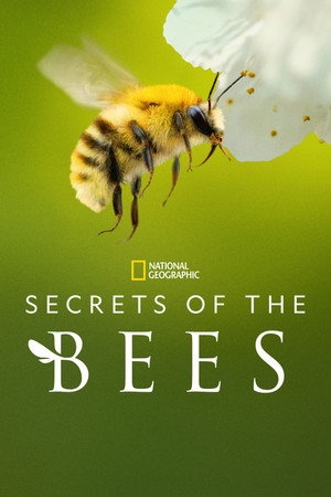 watch-Secrets of the Bees (2026)
