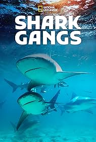 watch-Shark Gangs (2021)