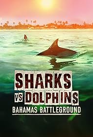 watch-Sharks vs. Dolphins: Bahamas Battleground (2023)