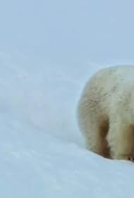 watch-Snow Bears (2017)